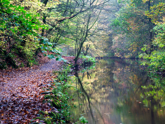 About Skipton Castle Woods | The Woodland Trust